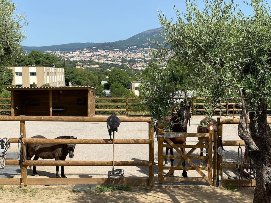 גראס La Bastide De Jean Maison De Charme Dans Un Domaine Equestre Prive מראה חיצוני תמונה