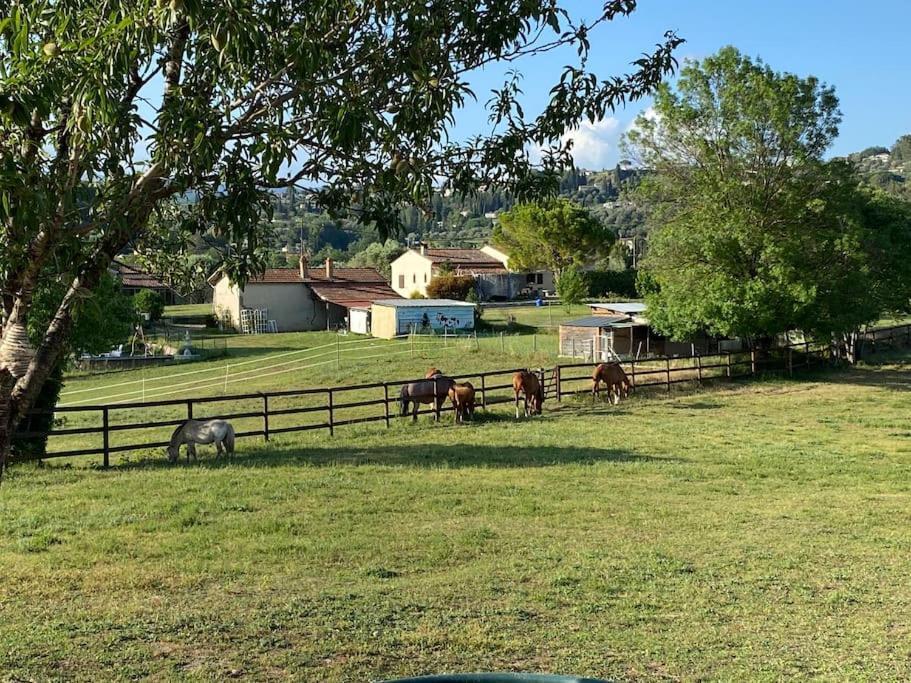 גראס La Bastide De Jean Maison De Charme Dans Un Domaine Equestre Prive מראה חיצוני תמונה